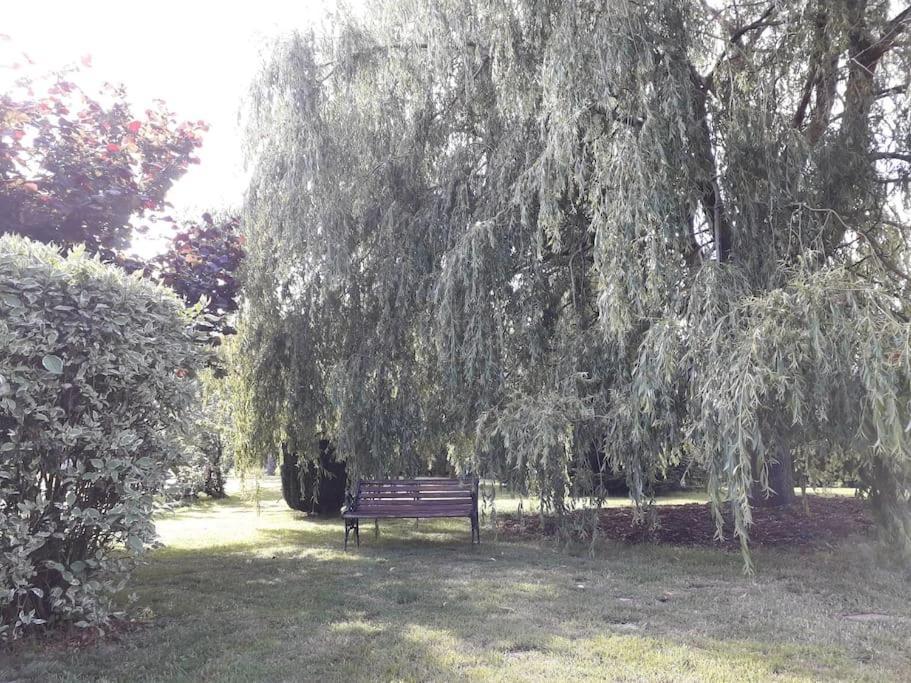 Un Petit Coin De Paradis Clairfontaine Zewnętrze zdjęcie